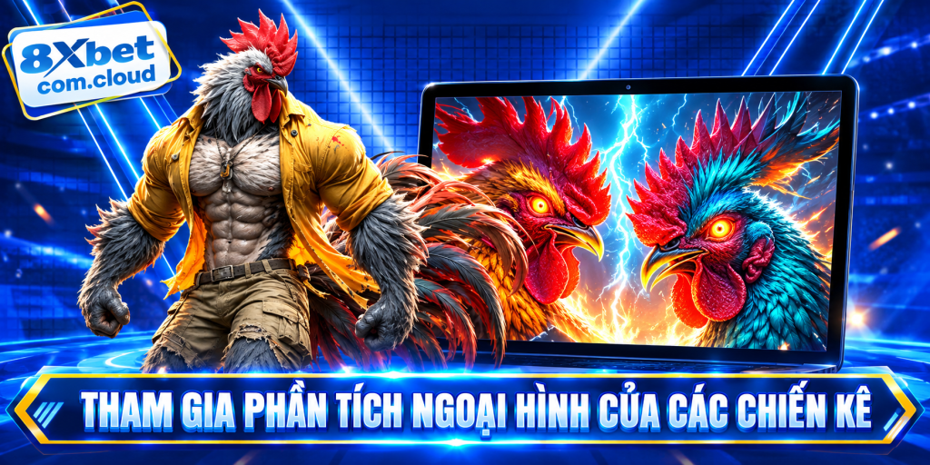 Phân tích ngoại hình chiến kê sau khi hiểu kèo đá gà là gì
